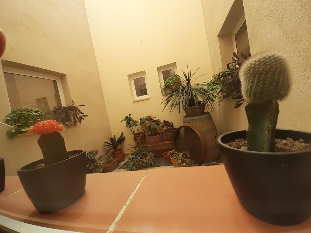 Casa La Foradada Acomodação com café da manhã Corbera Exterior foto